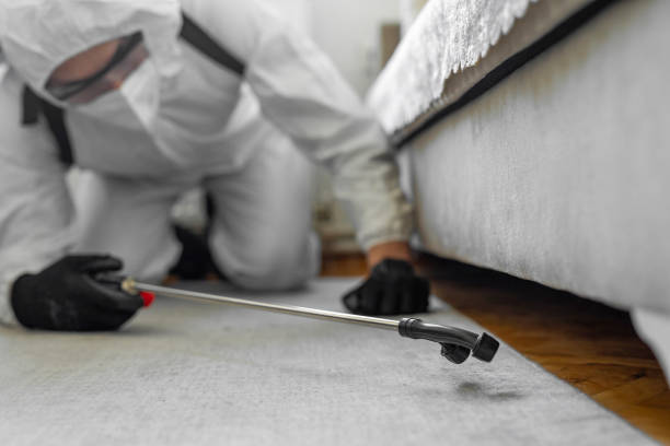 Professional Termite Control technician working in Como, WI