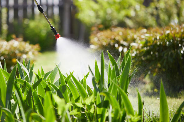 24/7 Emergency Termite Control experts in Como, WI