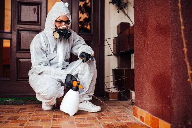 Reliable Termite Control contractor in Como, WI by Nex Pest Control